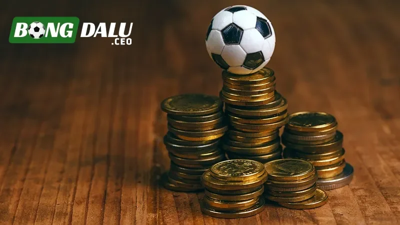 Các bước vào chơi cá cược online