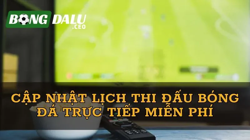 Các tính năng hỗ trợ tra cứu lịch thi đấu